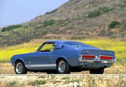 ford mustang gt shelby