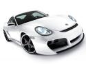 Techart GTsport : M�chant le Cayman !