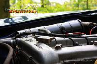 alfa_bertone_2000_07.jpg