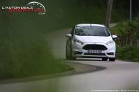 fiesta_st182_08.jpg