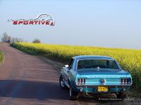 Photo mustang_289ci_05 mustang_289ci_05.jpg