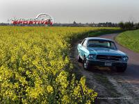 Photo mustang_289ci_06 mustang_289ci_06.jpg