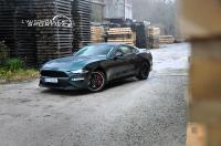 Photo mustang_mk6_bullitt_06 mustang_mk6_bullitt_06.jpg