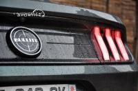 Photo mustang_mk6_bullitt_10 mustang_mk6_bullitt_10.jpg