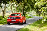 Photo mustang6_gt_03 mustang6_gt_03.jpg