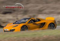 Photo 12c_spider_09 12c_spider_09.jpg