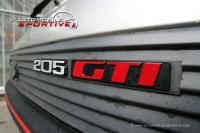 Photo 205_gti_1l9_02 205_gti_1l9_02.jpg