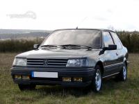 peugeot-309-gti16_22.jpg